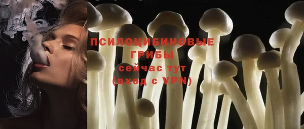 шишки Алексеевка