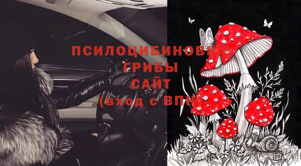 герыч Алексин