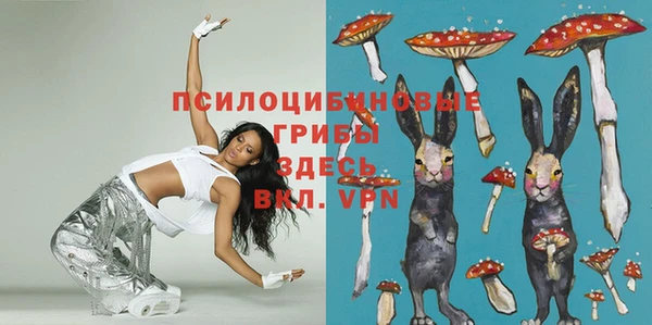 гидропоника Алзамай