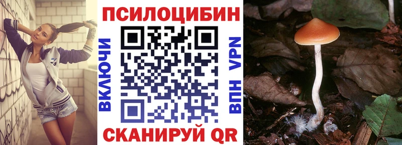 Галлюциногенные грибы прущие грибы  Завитинск 
